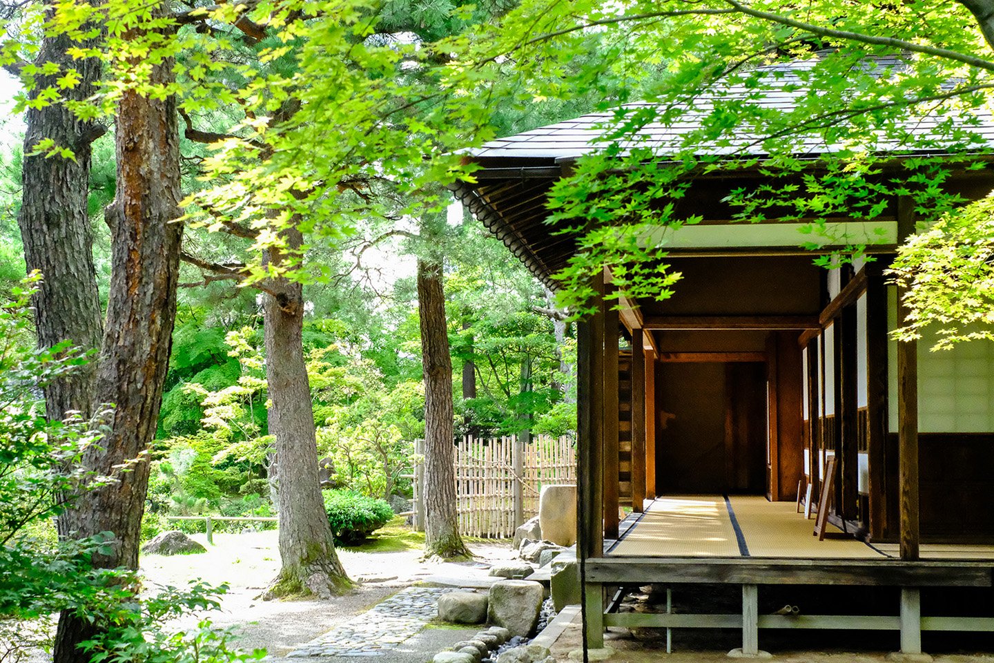 🏞️ 시미즈엔(구 시미즈다니 고덴) 이미지 8